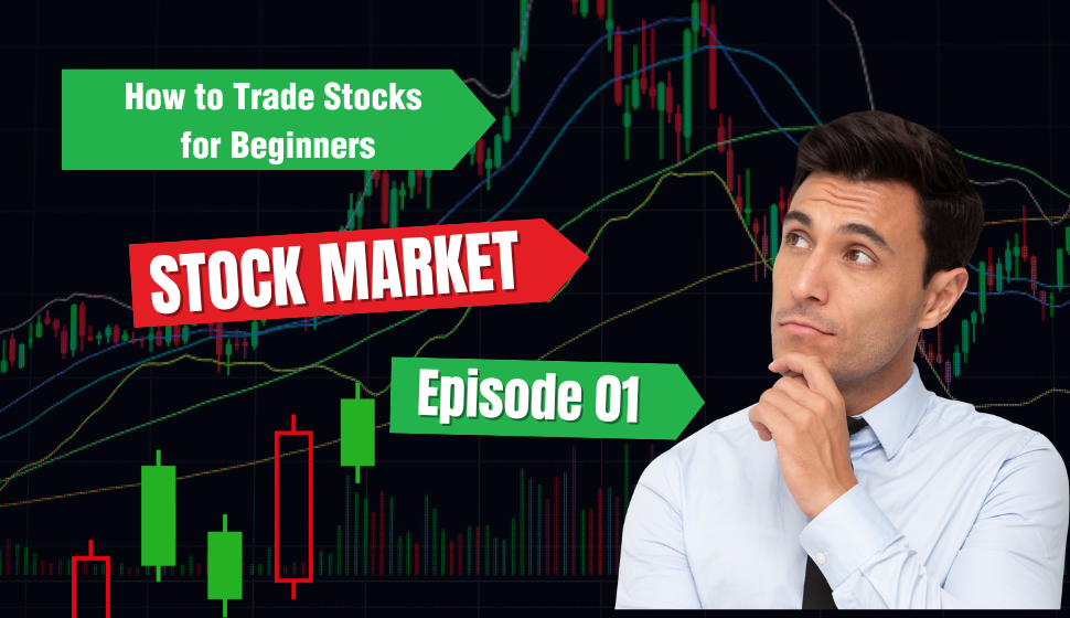 Stocks for Beginner